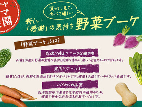 ベジブーケで感謝を伝えよう☆野菜の花束と情熱野菜セット9品目【通常ギフト】パチャママ農園　メッセージつき