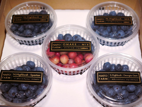 ほおばって！ブルーベリーMIX（500g・品種&サイズ混合）