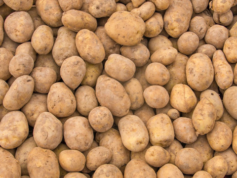 【🎄Xmas限定☆彡2～3人様セット🎁】たくさんの種類！ちょうどいい量！お料理好きの野菜詰め合せ🥗