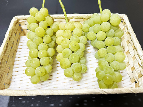 独特の甘い香り！岡山県産ヒムロットシードレス（約1kg、3～4房）