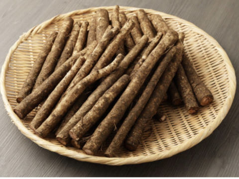 香り高い鹿児島県産新ごぼう３キロ【訳ありごぼう】