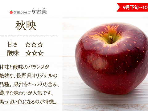≪来年度予約受付中≫信州のりんご!珍しい濃い赤色!【秋映】約3kg