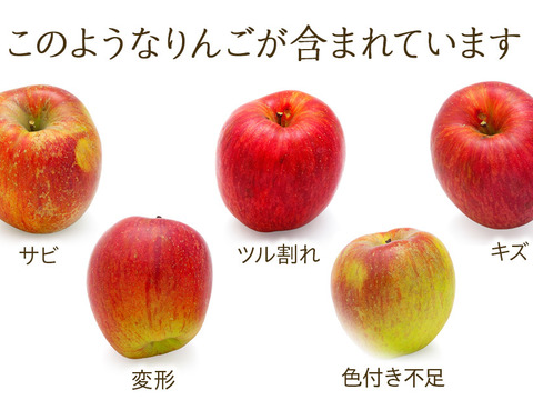 ≪収穫中≫信州のりんご【シナノスイート】訳あり約10kg
