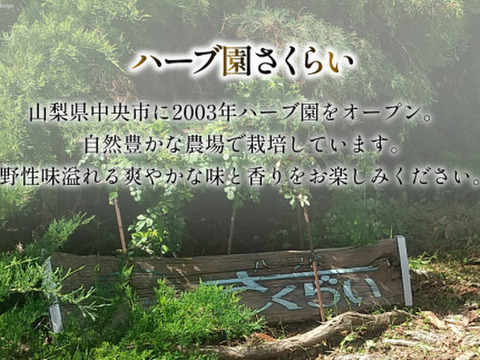 【冬ギフト】体と心に沁み渡る豊かな香りと味わい！ブレンドハーブティーリーフ3種24g（農薬化学肥料不使用）カモミール＆ミント