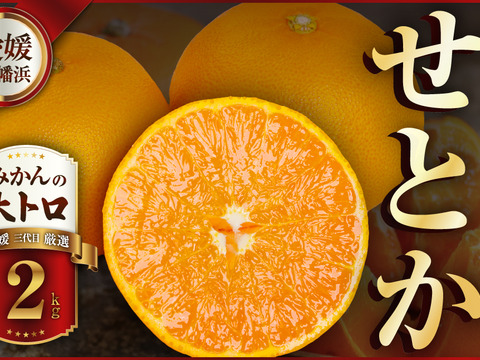 蔵出し極熟せとか 2kg×2箱(4kg)　～眠りから覚めた、とろける甘さ～