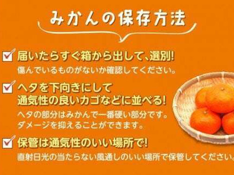 【貯蔵みかん】静岡県産　寿太郎みかん　5kg   農家直送　訳あり　家庭用　美味しいみかん