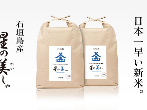 【日本一早い新米】令和6年産 石垣島産 星の美しゃ10kg（5kg×2袋）