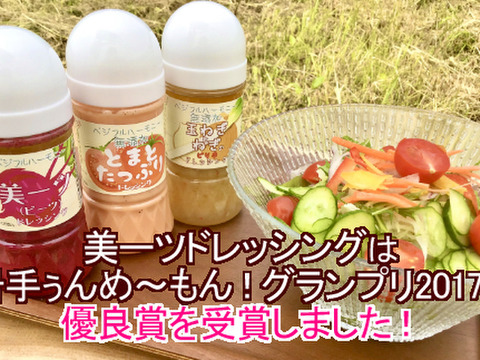 【保存料不使用】手作りドレッシング3本セット