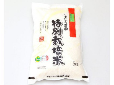 【１等級】もっちりつやつや特別栽培米【農薬5割以上減】佐賀県産さがびより5kg（R3年産）
