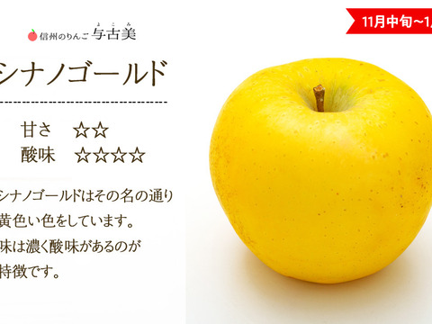 ≪予約受付中≫信州のりんご【シナノゴールド】約5kg
