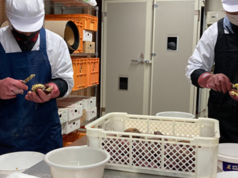 干し芋  数量限定！　端っこ　800g×2袋　べにはるか　茨城県産