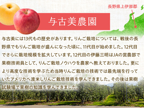 ≪2024年先行受付≫　新品種！夏りんご【シナノリップ】５㎏