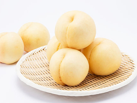 【2025年・岡山の白桃・恵白】ご自宅用★希少晩成品種！岡山の白桃・恵白(2㎏)