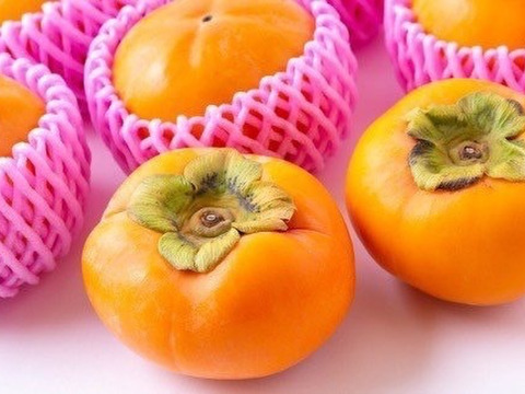【冬ギフト】定番を極めた最高級の富有柿（4kg）