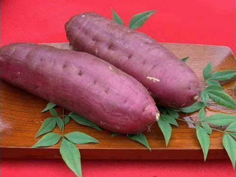 他の人はこちらも検索 訳あり！熟成干し芋 丸干し芋2kg：茨城県産の加工品｜食べチョク 野菜
