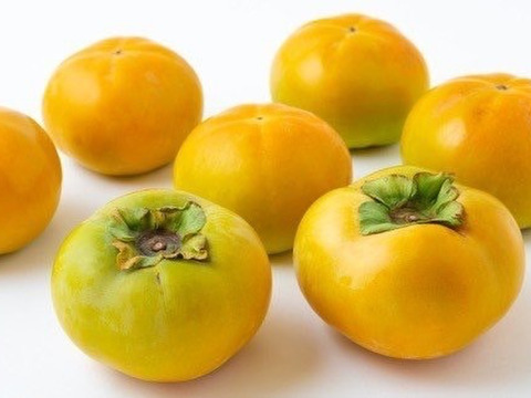 【最高級】シャキシャキ食感、糖度18度越えの甘い柿、太秋柿！（4kg）