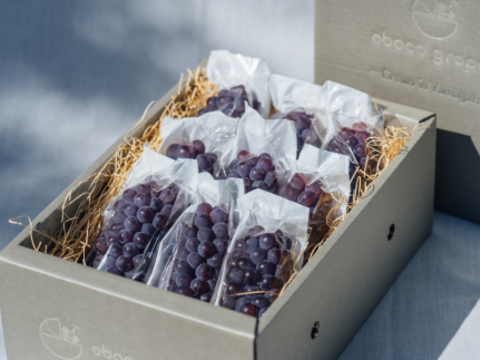 甘さ弾ける！『デラウェア』1.5kg×２箱セット【お中元】【予約販売】