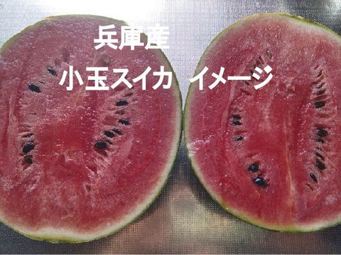兵庫産小玉すいか1玉（ニュー小玉）④