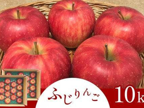 【2023年11月中旬より順次発送】信州名月オバステりんご（贈答用ふじ）約10kg