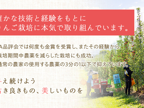 ≪SALE≫無添加！りんごそのまんま100％ジュース　2本入