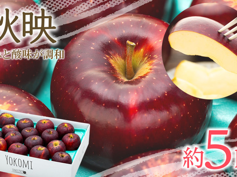 ≪来年度予約受付中≫信州のりんご!珍しい濃い赤色!【秋映】約5kg