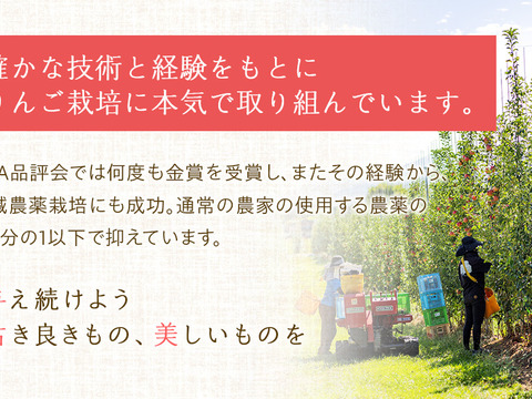 ≪収穫中≫　新品種！夏りんご【シナノリップ】３㎏