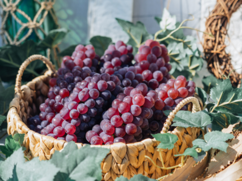 甘さ弾ける！『デラウェア』1.5kg×２箱セット【お中元】【予約販売】