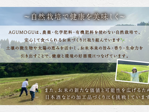 【父の日ギフト】自然栽培米・純米原酒『福めぐり』720ml