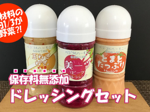 【保存料不使用】手作りドレッシング3本セット