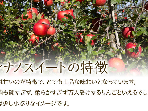 ≪収穫中≫信州のりんご【シナノスイート】訳あり約5kg