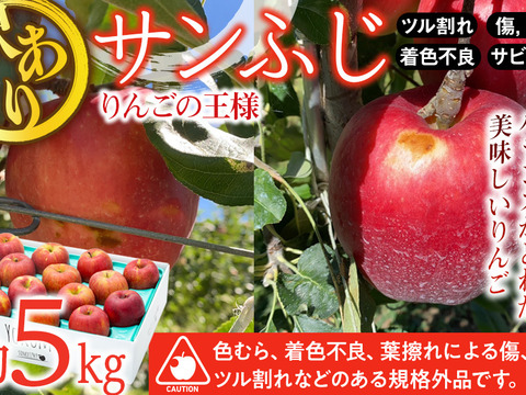 ≪予約受付中≫信州のりんご【サンふじ】訳あり　約5kg