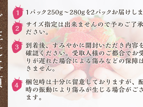 1月～2月発送　ジューシーな和歌山のオリジナルいちご　❝まりひめ❞　6パック