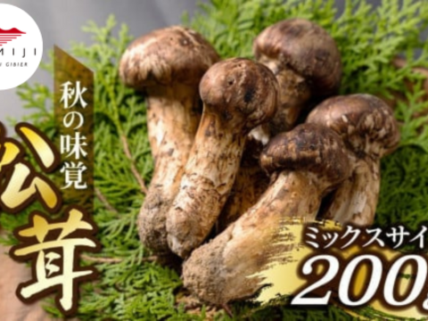 秋の味覚！松茸ミックスサイズ200g 岩手県産 天然：岩手県産の