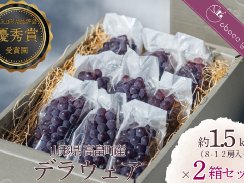 甘さ弾ける！『デラウェア』1.5kg×２箱セット【お中元】【予約販売】