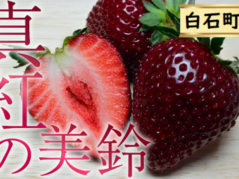【希少品種】佐賀県白石町産　真紅の美鈴 220g 1パック