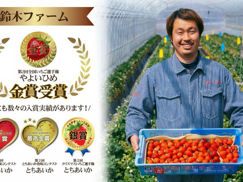 完熟冷凍いちご「とちあいか」500g×2袋＼鮮度そのまま・ヘタ付き／（ご家庭用・1kg）