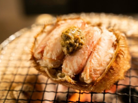 【年末蔵出し】小さくても味濃く絶品/毛ガニ/浜茹で/400~450g/2ハイセット【冷凍】