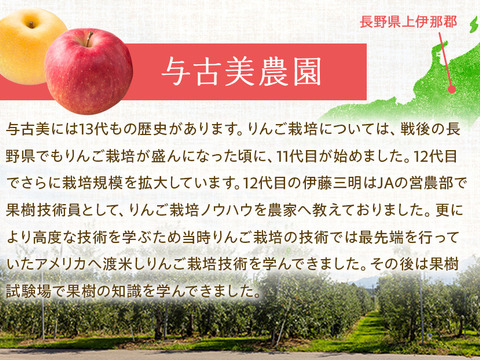 ≪収穫中≫幻のりんご【あいかの香り】訳あり約5kg