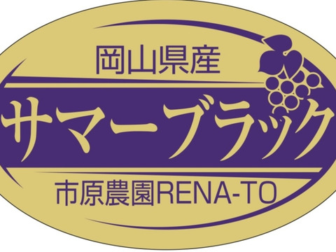 岡山県産✨サマーブラック🍇2kg（3房〜4房）甘くて美味しい😋園主オススメ🎶