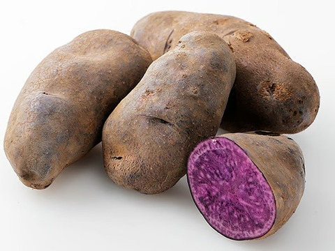 ♪ ちょっぴり春を感じる可愛いお色 ♪ カラフルじゃがいも（シャドークイーン/ノーザンルビー）2種セット（合計5キロ）