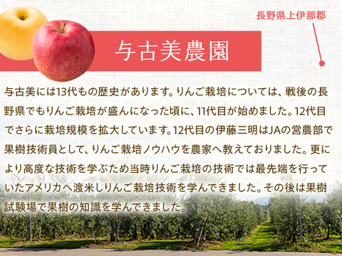 ≪2026年度予約受付中≫信州のりんご【名月】訳あり約5kg