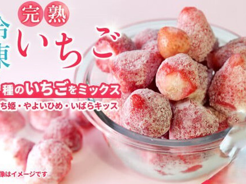 《2kg》完熟冷凍いちご　いちご農家さんからの直送品　お買い得商品