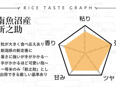 【R7年新米予約】新潟県ブランド米/精米5kg南魚沼産新之助/まつえんどんのお米