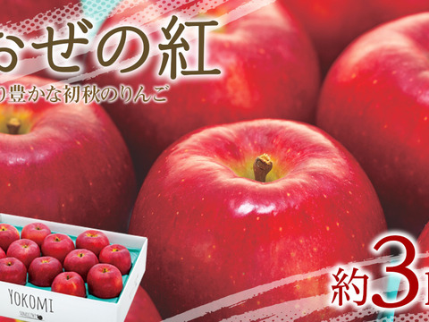 ≪予約受付中≫信州のりんご【おぜの紅】約3kg