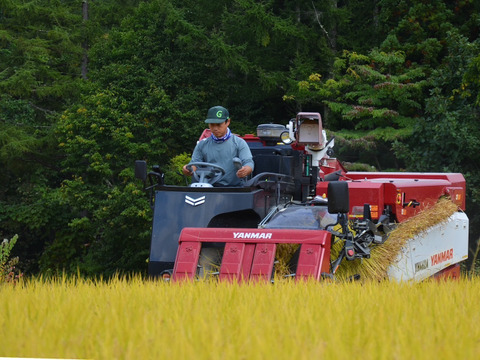 【数量限定】令和7年白馬産ミルキークイーン10kg