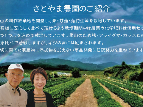 焼芋ラテの素２００ｇと焼芋ジャム２００ｇの詰め合わせ、農薬・化学肥料不使用、６ケ月以上地下室で寝かせて熟成させた大分県産甘藷を使用。