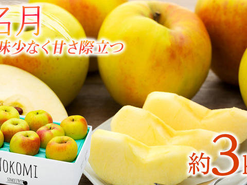 ≪2026年度予約受付中≫信州のりんご【名月】約3kg