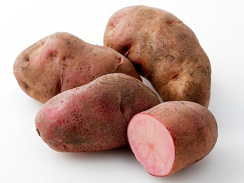 ♪ ちょっぴり春を感じる可愛いお色 ♪ カラフルじゃがいも（シャドークイーン/ノーザンルビー）2種セット（合計5キロ）