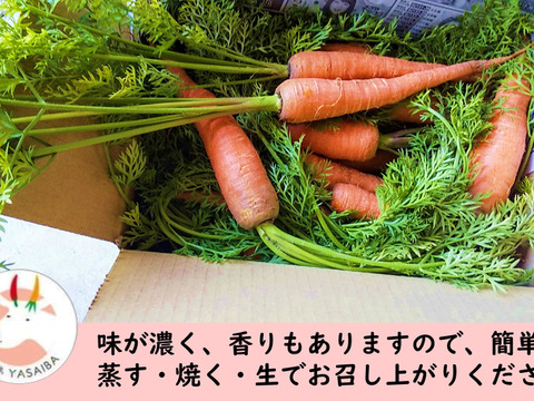 【淡路島YASAIBA】2kg　栽培期間中農薬不使用　黒田五寸人参【固定種】