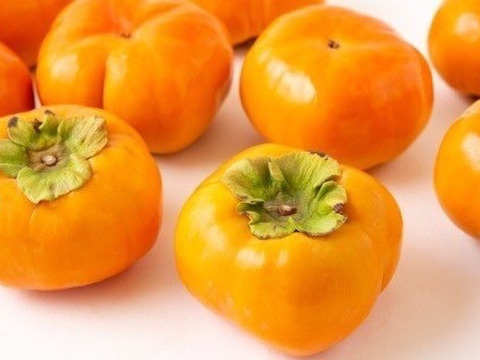 【30箱限定】宝石の様な柿、早秋柿！（3kg）